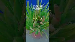 rahe hidayat#beauty products#unfrezzmyaccount #virtual reality#knitting#Sewing#