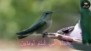 No Fear, No Grief &ndash; Glad Tidings of Jannah for the Steadfast Believers#allahkirehmat #islamicprayer