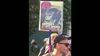 Official Animal Rights March Berlin 2019