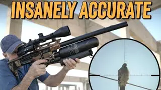 Охота на голубей с винтовкой FX Impact M4 калибра .22 | Точная борьба с вредителями с помощью пне...