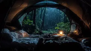 Cozy Rainstorm Inside a Canvas Tent | Dark Forest Ambience for Deep SleepDescription