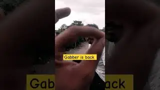 Gabber is back 👿🔥 #feed #shorts #viral Gs team vlogs