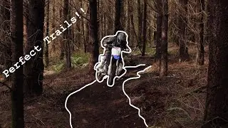Amazing Single Track!! (Best in Oregon)