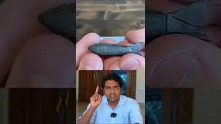 🚀Lazy dog bomb // Sri info(Tamil)