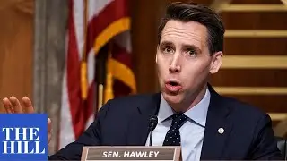 Josh Hawley GRILLS Apple representative on app store monopoly