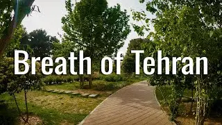 Is This the Most Relaxing Park in Tehran? | 4K POV Walk in Iran