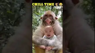 baby monkey bin bin fishing 😂🐒😂🐒😂🐒😂🐒😂🐒😂🐒😂🐒😂#shorts