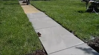 Pressure Washing Front Sidewalk (DXPW 4240)