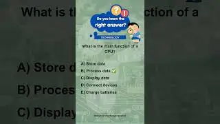 Quiz - What does 