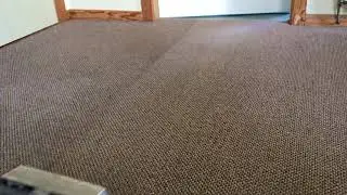 Carpet cleaning Belfast