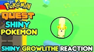 Shiny Growlithe Live Reaction! Pokemon Quest Shiny Pokemon