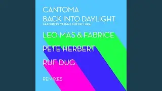 Back into Daylight (Pete Herbert Remix) (feat. Quinn Lamont Luke)