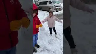 Snowfall frost