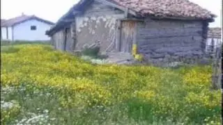 Akkuşlu Metin - Fadik & Orman Aralarında  &tilde;