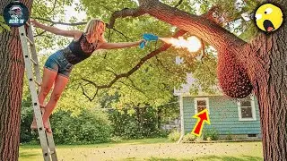 TOTAL IDIOTS AT WORK | Instant Regret Fails Compilation 2026 #259 | Best Fails of the Week