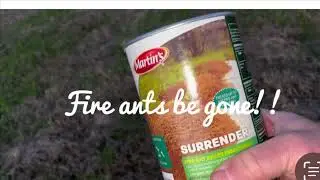 Fire ant removal