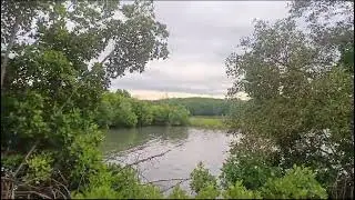 Nature at it's best ❤️💖 Kodi Kanyana Seetha River Banks