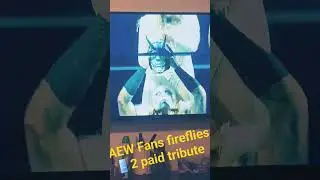 Bray Wyatt fireflies runnin wild at Wembley