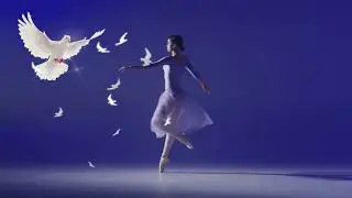 PRETTY LITTLE BIRD l A song for the loss of unconditional love l