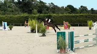 Dryade du thar 120 Auvers