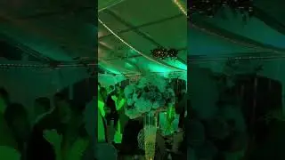 Insane DJ Lighting