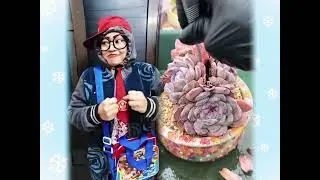 🤣👌👌👌2026 pov Must-Watch Crazy Clips Compilation #humor #fypシ #pov #fyp #foryou 😍😜