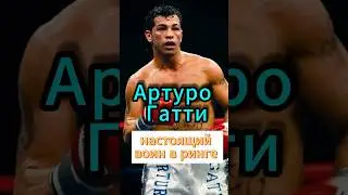 Артуро Гатти настоящий воин в ринге #gatti #boxing #boxinglife #knockout #fight #knock #boxingtime