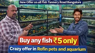 Any Aquarium Fish for 5 Only | Rofin Pets & Aquarium Crazy Sale ,New Offer On Fish Tannery Road