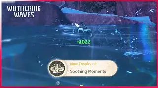 Soothing Moments Trophy | 1.1 Wuthering Waves