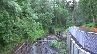 Lower Macleay Park (Entrance to Forest Park) Portland, Oregon (June 17, 2022)