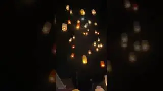 Buddha Day 🙏🌸 Vesak Festival | Lantern Festival #buddha #viral #bangkok #vesak #lanternfestival
