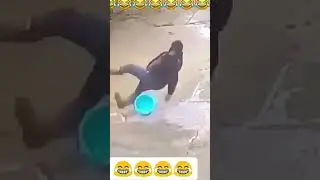 funny video