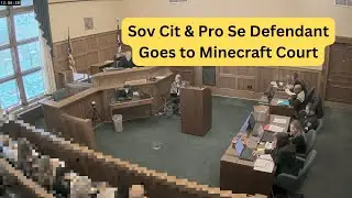 Pro Se Defendant in Minecraft Court - Day 2