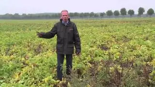 Jean Heybroek item Doe Maar Duurzaam! RTL 7 S03E02 10 januari