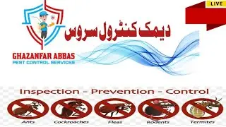 Best Termite treatment flooring stage #construction #cockroach #fumigationservices #foryou #tranding