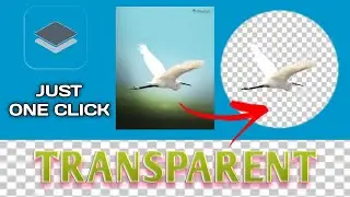 How to make transparent background on any photo | just on click