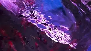 NyinkommetJapan koi Nols Ciklidhobby w1812