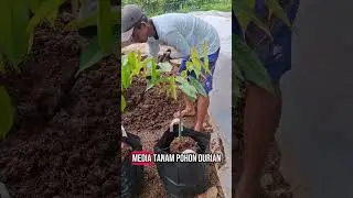 Campuran media tanam