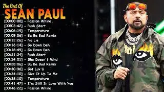 Top 20 Dancehall Reggae Songs &ndash; Greatest Hits Full Album Sean Paul
