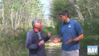 Buzzards Bay Coalition: Mattapoisett River Reserve