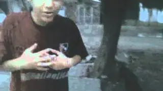 MOV391