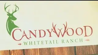 Vienna golf course on road to being registered as hunting ground