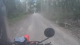 Mapleton Forest Ride