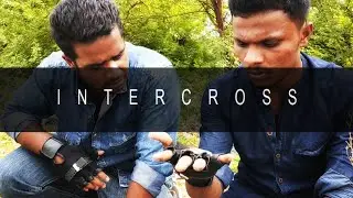 INTERCROSS | Sci-fi Action Thriller | Tamil Short film | Mask Studios