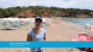 Strand Cala Llenya | Str&auml;nde auf Ibiza