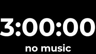 3 Hour Timer (No Music) | Minimalist Countdown for Long Study & Deep Work