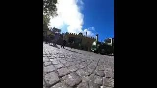 Sintra Rickshaw Gopro Max Gopro Hero 11 Black