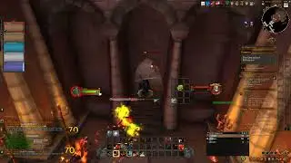 World Of Warcraft|Saggin-Stormrage Level 11 Fury Warrior Twink,Timewalking Dungeon, 20th anniversary