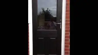 Ultimate Rockdoor