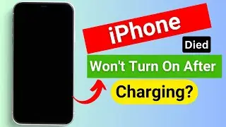 iPhone dead after insert Charger Why this Happen ?